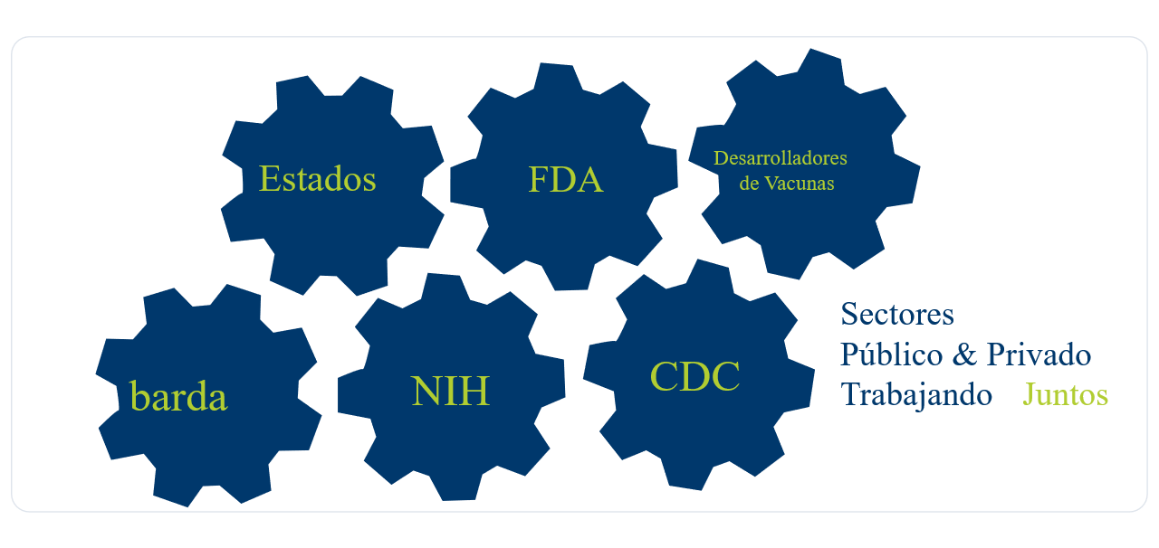 key partners in vaccine development